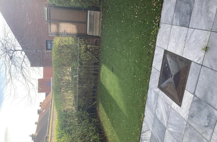 tuin